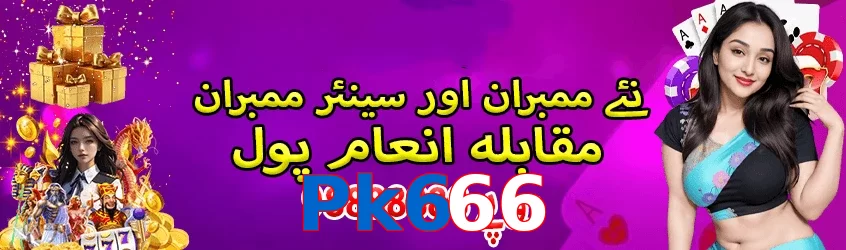 Pk666 interface sample